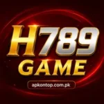 H789 Game