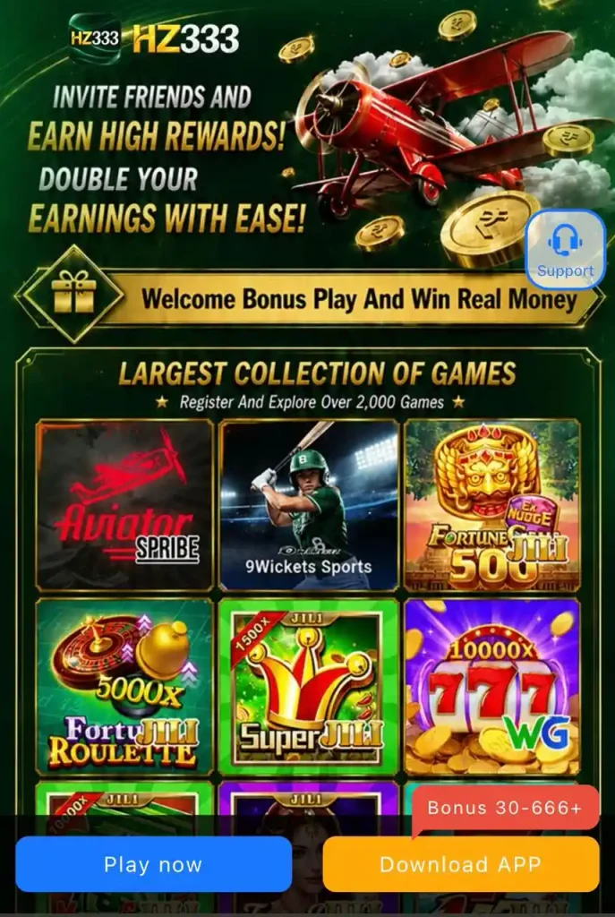 HZ 333 Game 